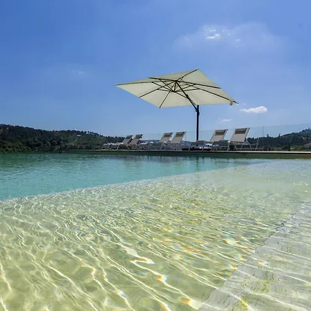 Casa Do Cipreste Em Amarante * Gatao