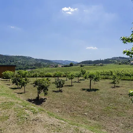 Casa Do Cipreste Em Amarante *