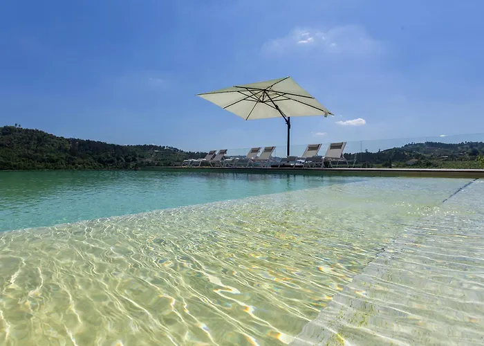 Casa Do Cipreste Em Amarante * Gatao