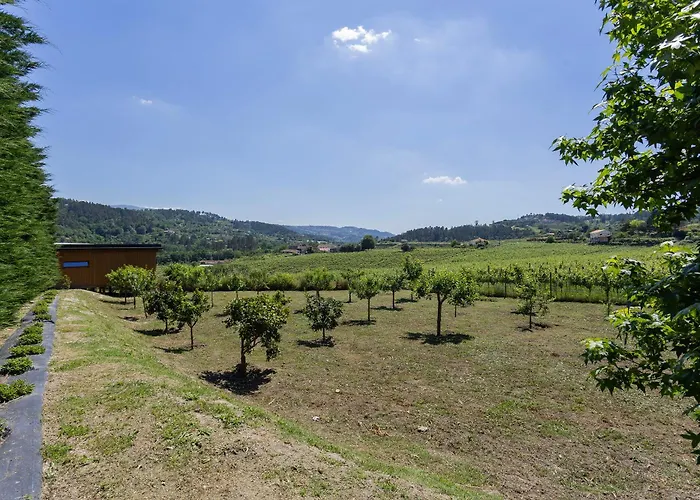 Casa Do Cipreste Em Amarante *